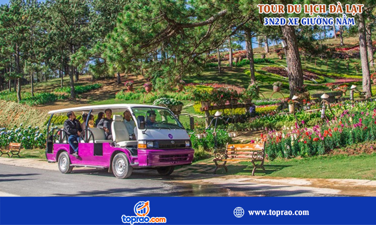 Tour Đà Lạt 3 ngày 2 đêm xe giường nằm