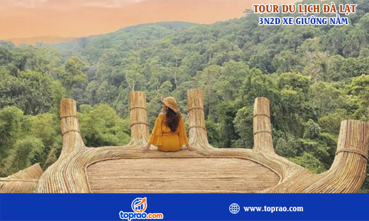 Tour Đà Lạt 3 ngày 2 đêm xe giường nằm