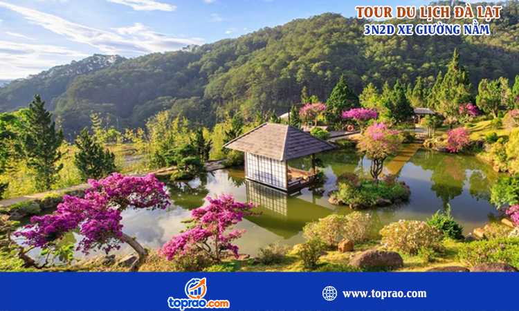 Tour Đà Lạt 3 ngày 2 đêm xe giường nằm